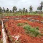 DSCN1418.jpg